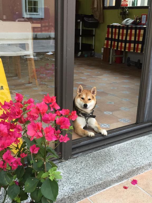 Appartamento Lei Mi Er Hua Yuan Min Su Pinghe Esterno foto