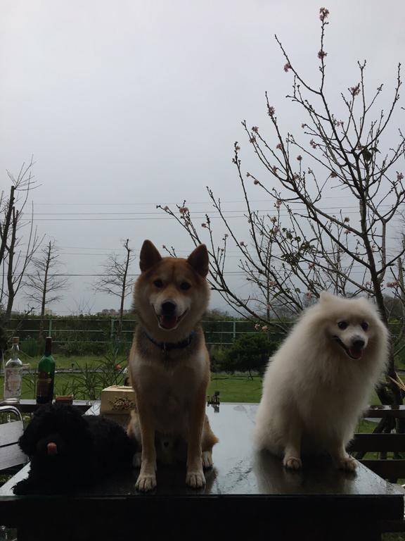 Appartamento Lei Mi Er Hua Yuan Min Su Pinghe Esterno foto