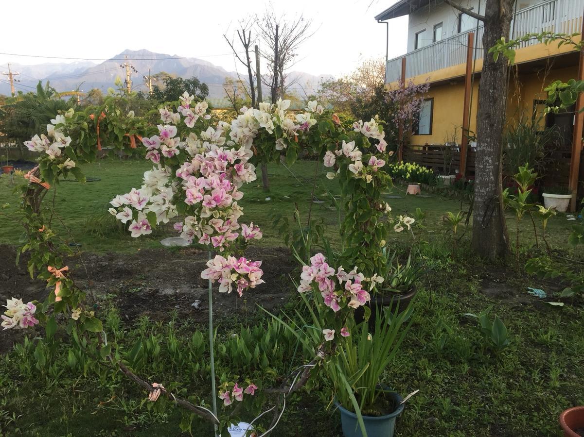 Appartamento Lei Mi Er Hua Yuan Min Su Pinghe Esterno foto