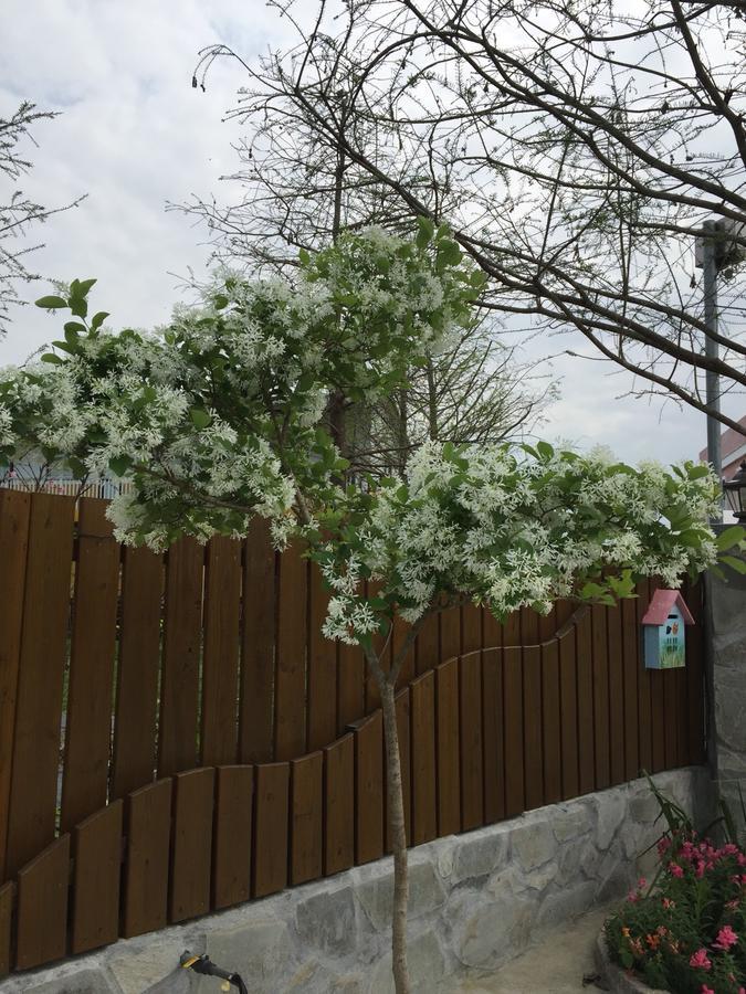 Appartamento Lei Mi Er Hua Yuan Min Su Pinghe Esterno foto
